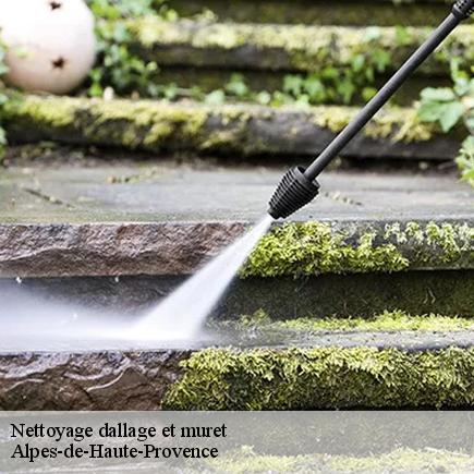 Nettoyage dallage et muret-5