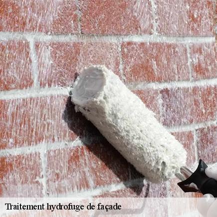 Traitement hydrofuge de façade-6