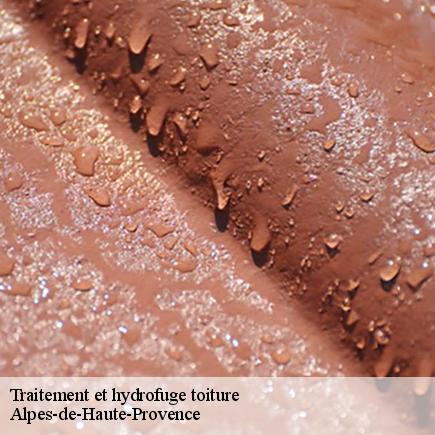 Traitement et hydrofuge toiture -5