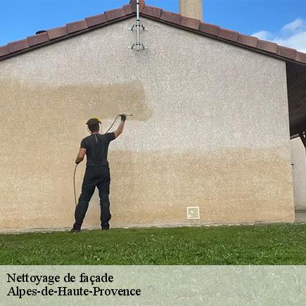 Nettoyage de façade-5