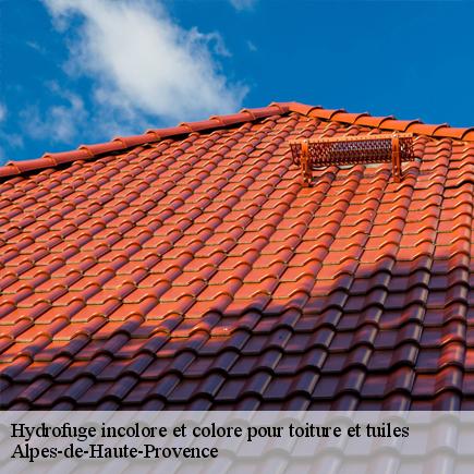 Hydrofuge incolore et colore pour toiture et tuiles-5