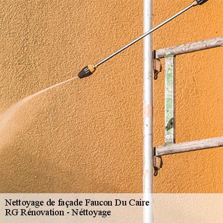 Nettoyage de façade-7