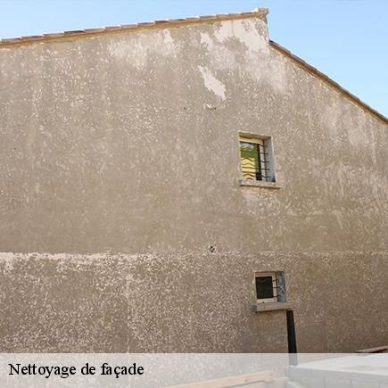 Nettoyage de façade-6