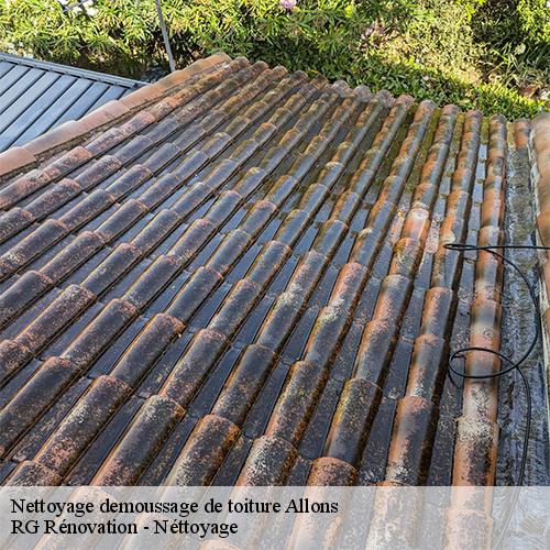 Nettoyage demoussage de toiture-10
