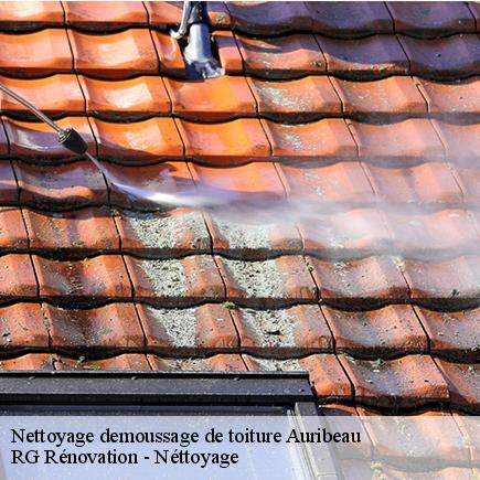 Nettoyage demoussage de toiture-4
