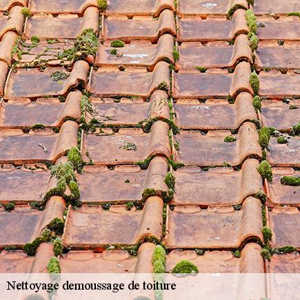 Nettoyage demoussage de toiture-6