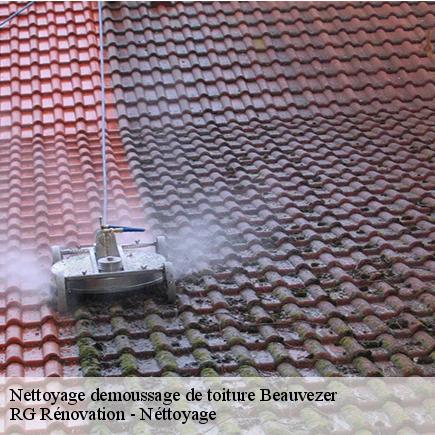 Nettoyage demoussage de toiture-7