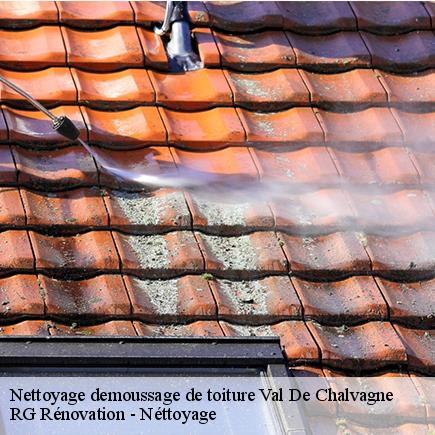 Nettoyage demoussage de toiture-4