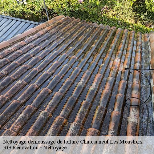 Nettoyage demoussage de toiture-10