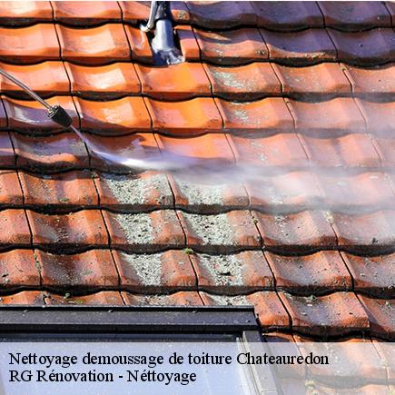 Nettoyage demoussage de toiture-4