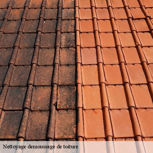 Nettoyage demoussage de toiture-9