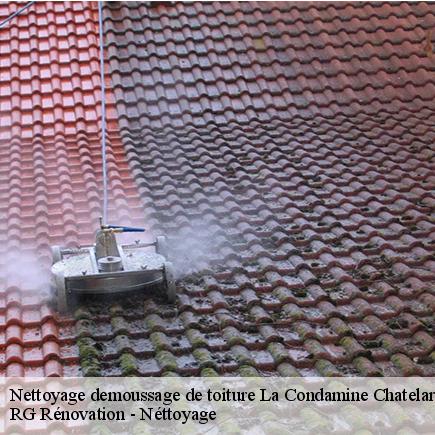 Nettoyage demoussage de toiture-7