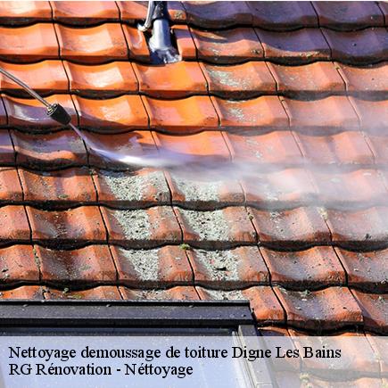 Nettoyage demoussage de toiture-4
