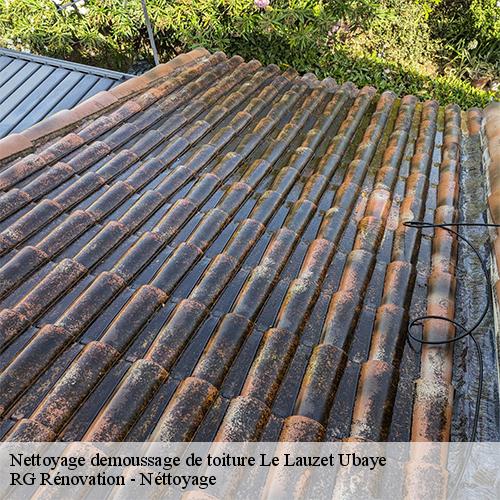 Nettoyage demoussage de toiture-10