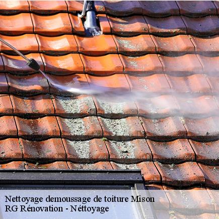 Nettoyage demoussage de toiture-4