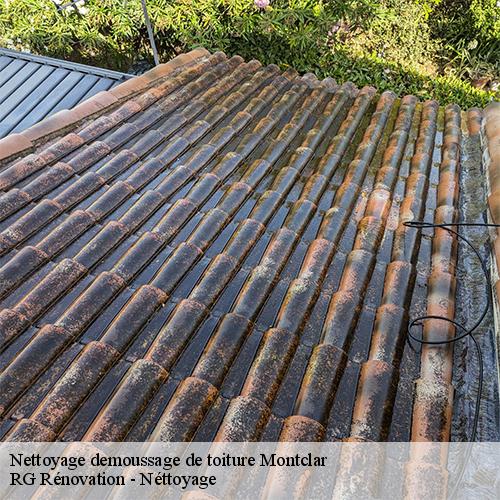 Nettoyage demoussage de toiture-10