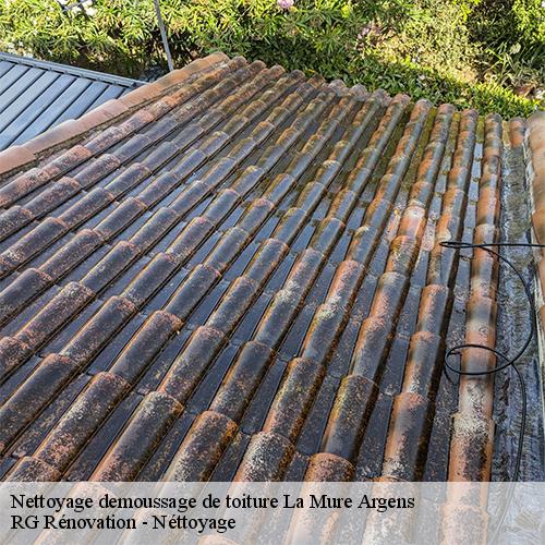 Nettoyage demoussage de toiture-10