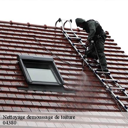 Nettoyage demoussage de toiture-5