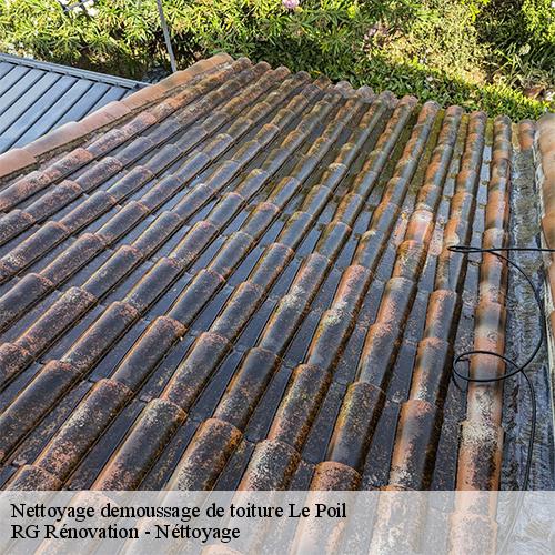 Nettoyage demoussage de toiture-10