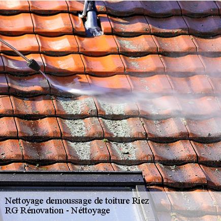 Nettoyage demoussage de toiture-4