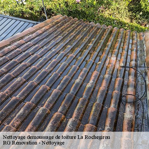 Nettoyage demoussage de toiture-10