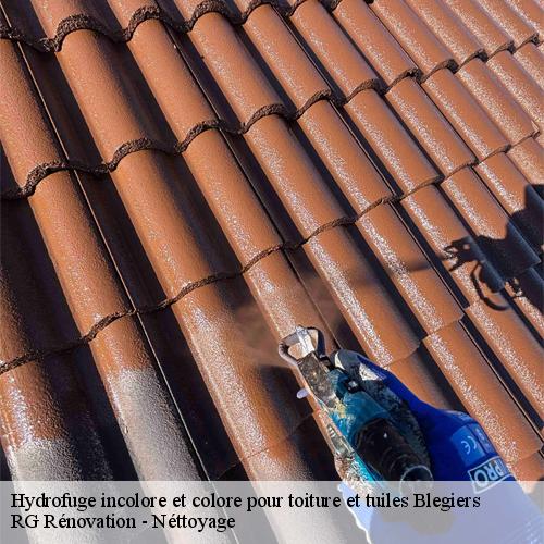 Hydrofuge incolore et colore pour toiture et tuiles-10