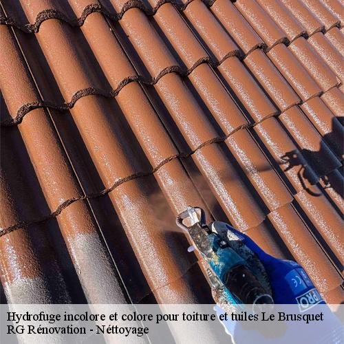 Hydrofuge incolore et colore pour toiture et tuiles-10