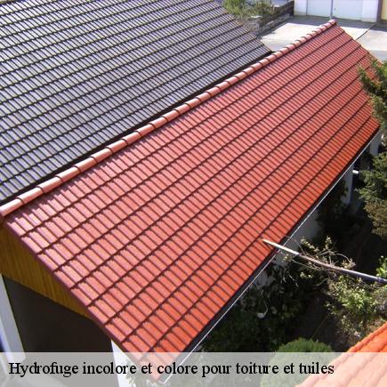Hydrofuge incolore et colore pour toiture et tuiles-6