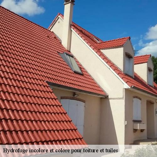 Hydrofuge incolore et colore pour toiture et tuiles-9