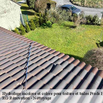 Hydrofuge incolore et colore pour toiture et tuiles-7