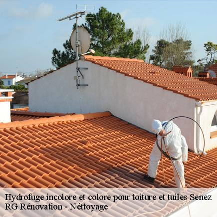 Hydrofuge incolore et colore pour toiture et tuiles-4