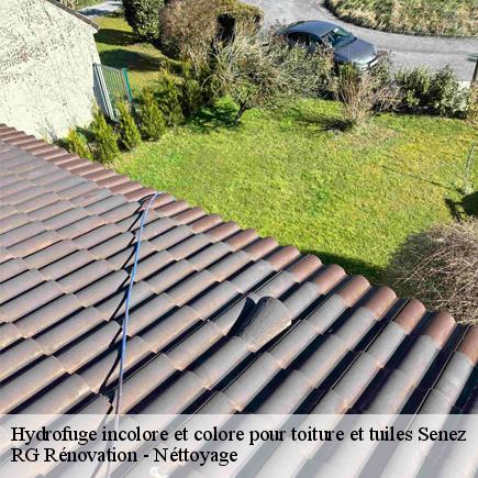 Hydrofuge incolore et colore pour toiture et tuiles-7