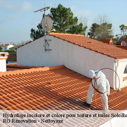 Hydrofuge incolore et colore pour toiture et tuiles-4