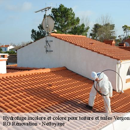 Hydrofuge incolore et colore pour toiture et tuiles-4