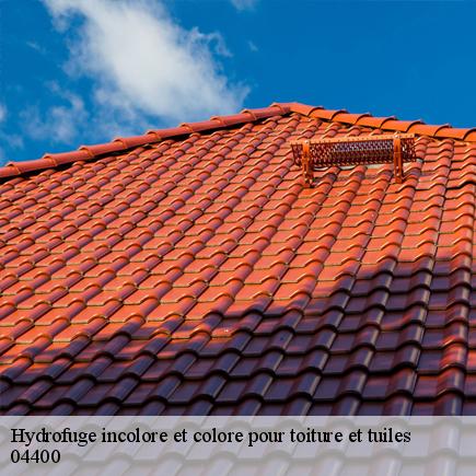 Hydrofuge incolore et colore pour toiture et tuiles-5