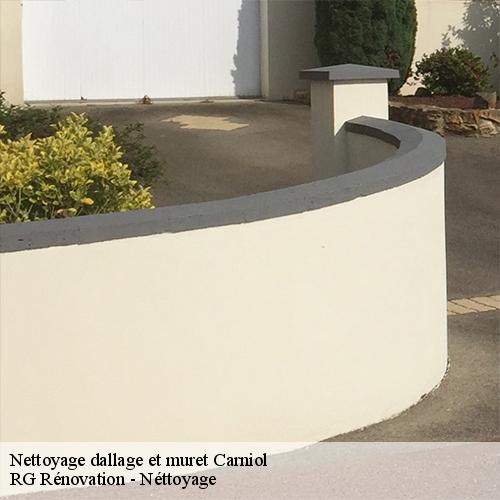 Nettoyage dallage et muret-10
