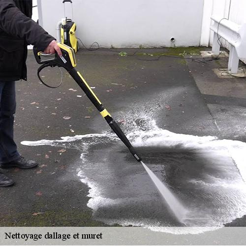 Nettoyage dallage et muret-9