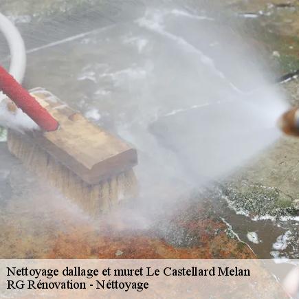 Nettoyage dallage et muret-7