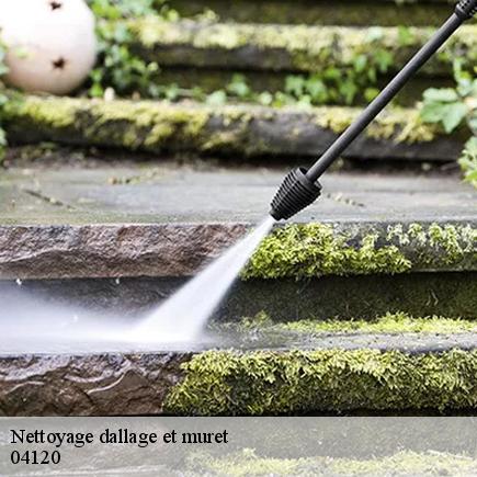 Nettoyage dallage et muret-5