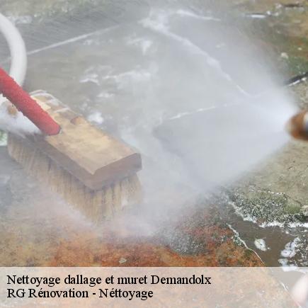 Nettoyage dallage et muret-7