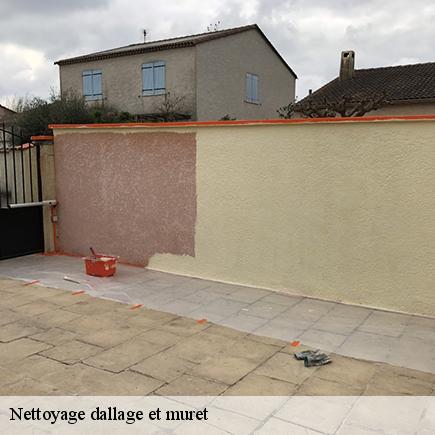 Nettoyage dallage et muret-6