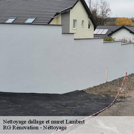 Nettoyage dallage et muret-4