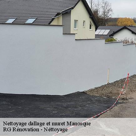 Nettoyage dallage et muret-4