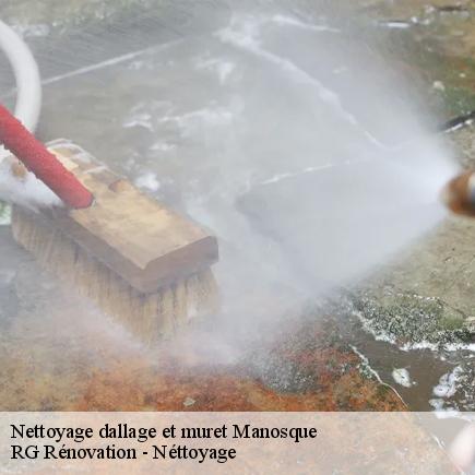 Nettoyage dallage et muret-7