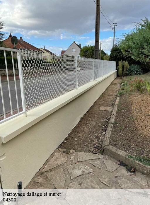 Nettoyage dallage et muret-8