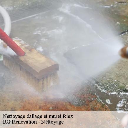 Nettoyage dallage et muret-7
