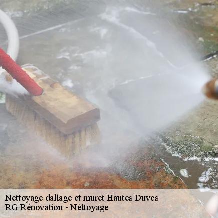 Nettoyage dallage et muret-7