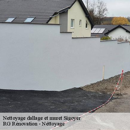 Nettoyage dallage et muret-4