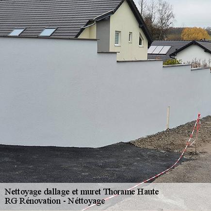 Nettoyage dallage et muret-4