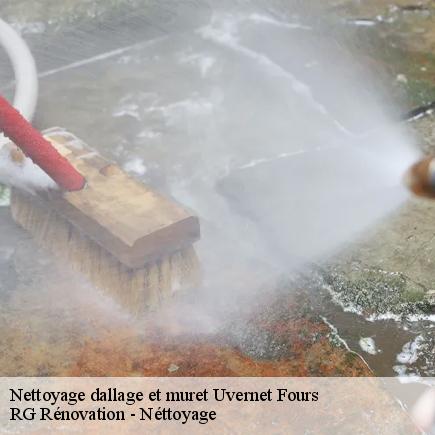 Nettoyage dallage et muret-7